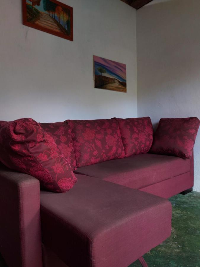 Hostel Agulhas Negras Itamonte Dış mekan fotoğraf